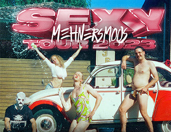 Mehnersmoos
