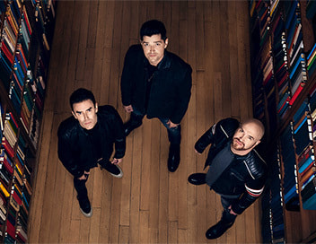 The Script